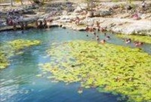 Dzibilchaltun and Progreso